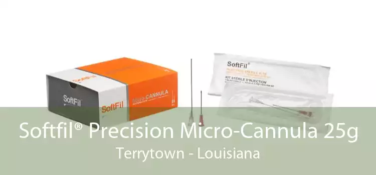 Softfil® Precision Micro-Cannula 25g Terrytown - Louisiana